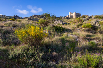 Fototapeta na wymiar Castillo medieval de Manqueospese en Sierra Paramera. Avila. España. Europa.