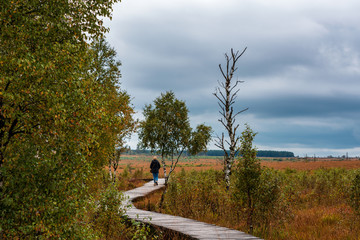 Strollers in nature reserve High Fens, Belgium..