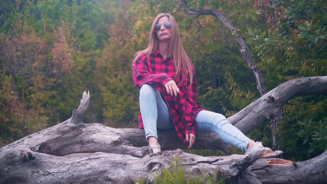 A girl with long hair in a red shirt, blue jeans and sunglasses sits on a dry tree. In the background forest. Tourism concept.