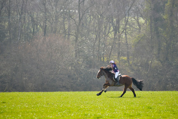 Woman riding horse at speed across  countryside in rural Shropshire England.