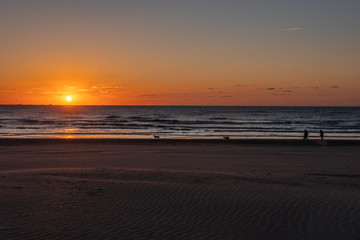 Obraz premium Silhouete of family - pair and dogs. Beautiful sunset landscape at the North sea beach with serene orange sky and awesome sun golden reflection on waves in the background