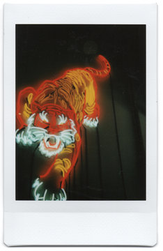 Neon Chinese Style Tiger