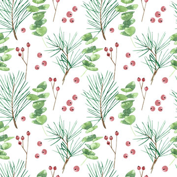 Watercolor seamless pattern with eucalyptus, berries and spruce. Hand drawn winter illustration on white background. Perfect for Christmas greeting cards, invitation, wrapping paper, textile