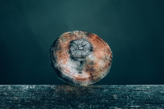 Close up view of wooden log core