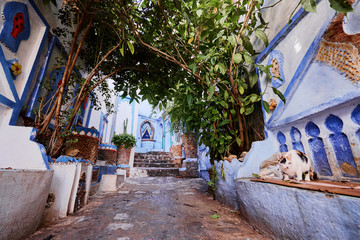 Obraz premium Blue city. Ancient architecture of old town Medina of Chefchaouen, Morocco.