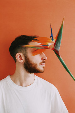 Man with bird of paradise flower in front of face
