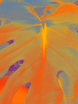 Abstract of leaf
