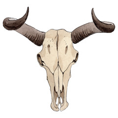 Skull of cow animal isolated. Watercolor background illustration set. Isolated skull illustration element. - 296374023