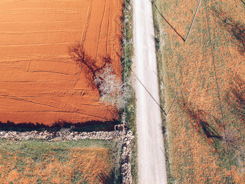 Aerial view of path in between fields