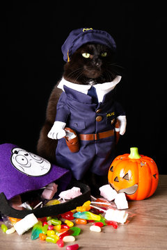 A black cat dressed as a police officer stands on top of a wooden table next to Halloween candy against a black background