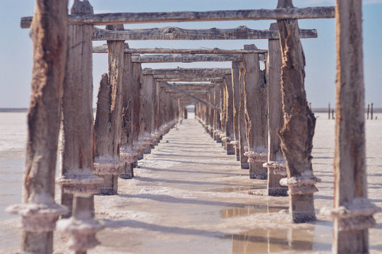 Old dock pilings in water