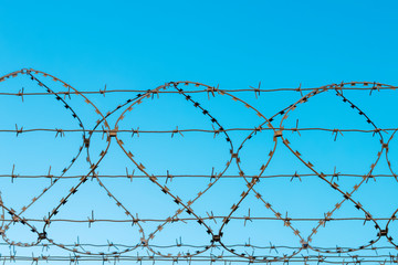 Several rows of woven barbed wire against a  clear blue sky. War and peace, prison and freedom, protection concept
