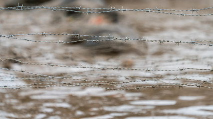 Barbed wire as an obstacle at an obstacle course rade