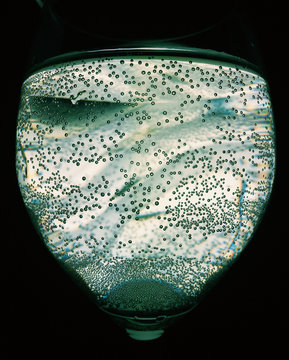 Microscopic view of water bubbles