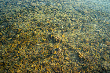 stone shallow coast, the northern Mediterranean