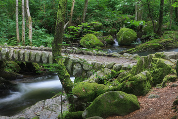 pont