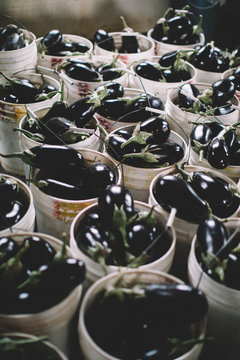 Eggplants in buckets