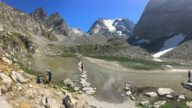 Lac des vaches et glacier de la Grande Casse, Parc national de la Vanoise, Savoie, France