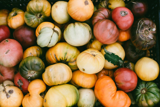 Close up of pumpkins