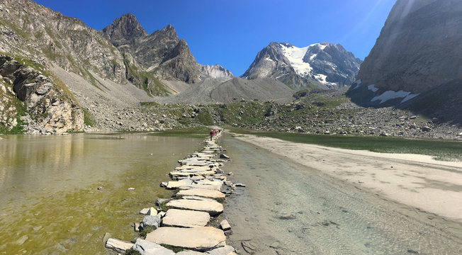 Lac des vaches, et glacier de la Grande Casse, Parc national de la Vanoise, Savoie, France
