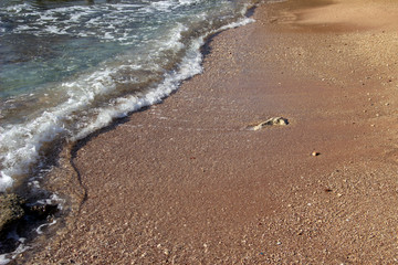 Summer background of hot sand with sea or ocean wave bubbles with copy space for card or advertisement at dawn or sunset