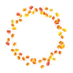 Maple leaves vector background, autumn foliage on white graphic design.