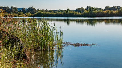 Beautiful view with reflections in a pond near Mamming, Bavaria, Germany