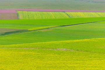 Obraz premium Plans Castelluccio in Italy