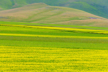 Plans Castelluccio in Italy