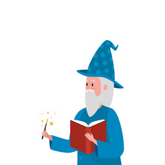 wizard of fairytale avatar character vector illustration design