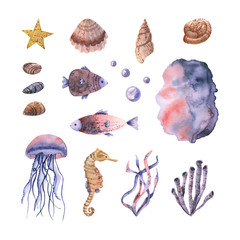 Sea set with watercolor fish, jellyfish, stones, shells, seaweed, sea horse, bubbles, starfish. Hand drawn illustration isolated on white. Template is perfect for marine design, fabric textile, poster