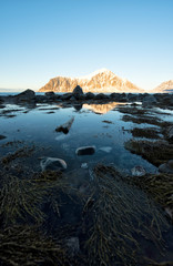 The Lofoten Islands Norway is known for excellent fishing, nature attractions such as the northern lights and the midnight sun, and small villages with beautiful scenery