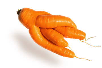 Fresh big red carrot of an unusual shape on an isolated white background. Freakish kind of...