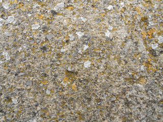OLD WALL TEXTURE
