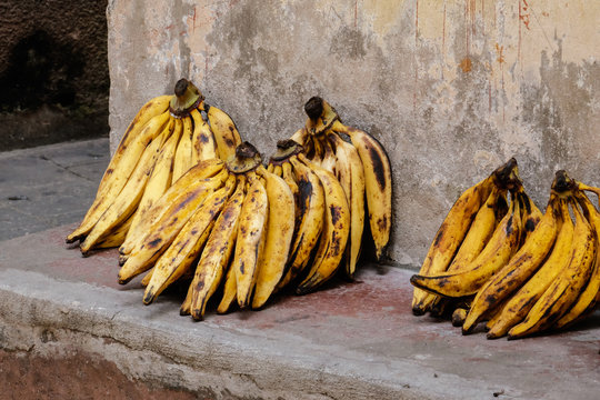 Bunches of bananas kept on wall