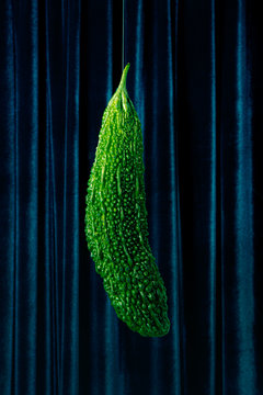 Close up of bitter melon hanging against curtain