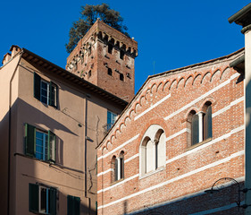 Fototapeta premium Città di Lucca - Torre Guinigi