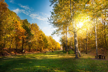 Jesień w parku  © Mariusz Stoszewski