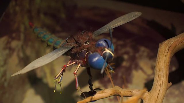 big blue fly doll attached to a branch