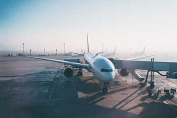 Jet aircraft docked in airport. Parking at terminal gate.