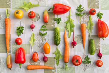 Different colorful organic vegetables on worktop, background, harvest