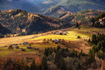 beautiful golden autumn in the mountains. natural background. autumn landscape