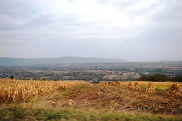 Fototapeta premium landscape of fields in autumn