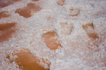 Fototapeta na wymiar Rose water in footprints on salt lake - landscape background
