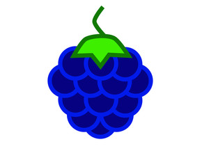 vector with simple drawing, blackberry shaped