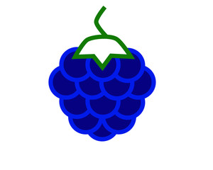 vector with simple drawing, blackberry shaped