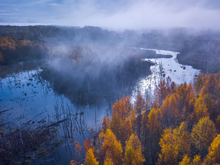 Aerial view of Dreamy foggy autumn landscape over the swamp