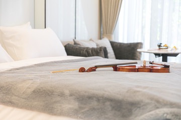 The Violin on the bed