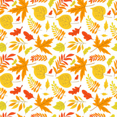 Fototapeta premium Vector seamless pattern with aspen, oak and maple