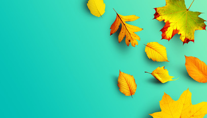 Goldener Herbst